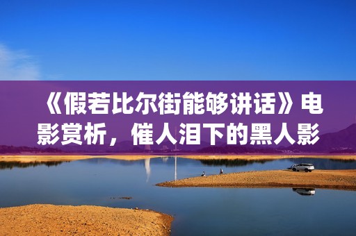 《假若比尔街能够讲话》电影赏析，催人泪下的黑人影片(假如比尔街能够说话)