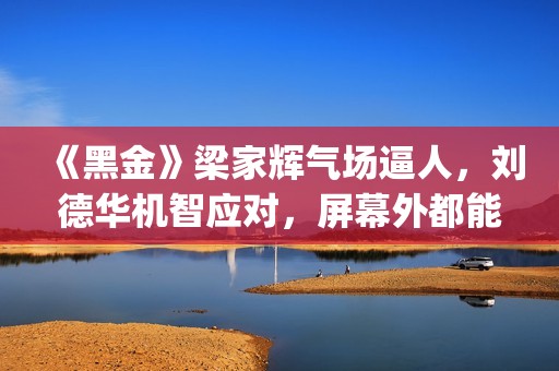 《黑金》梁家辉气场逼人，刘德华机智应对，屏幕外都能感觉到寒气(《黑金》梁家辉和老婆)
