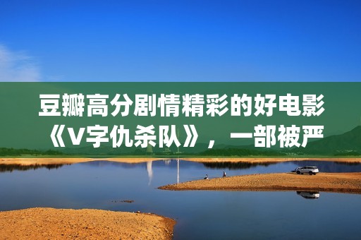 豆瓣高分剧情精彩的好电影《V字仇杀队》，一部被严重低估的大作(豆瓣高分剧情精选)