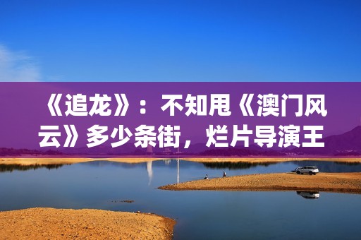 《追龙》：不知甩《澳门风云》多少条街，烂片导演王晶的翻身之作(分钟看完追龙)