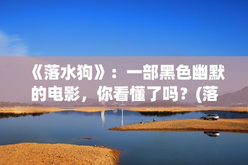 《落水狗》：一部黑色幽默的电影，你看懂了吗？(落水狗这部电影想要表达什么)
