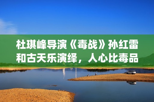 杜琪峰导演《毒战》孙红雷和古天乐演绎，人心比毒品更可怕(杜琪峰dvd)