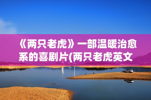 《两只老虎》一部温暖治愈系的喜剧片(两只老虎英文版)