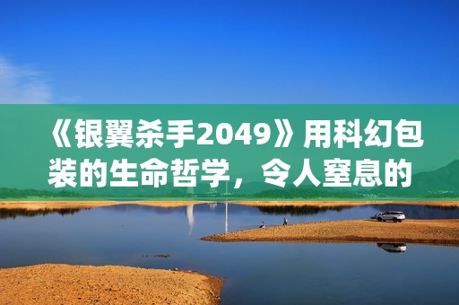 《银翼杀手2049》用科幻包装的生命哲学，令人窒息的视觉震撼(银翼杀手2049剧情解析)