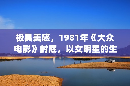 极具美感，1981年《大众电影》封底，以女明星的生活照片为主(极至的美)