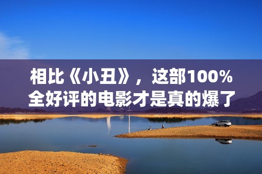 相比《小丑》，这部100%全好评的电影才是真的爆了！(相比《小丑》的特点)