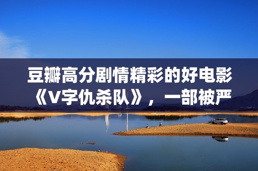 豆瓣高分剧情精彩的好电影《V字仇杀队》，一部被严重低估的大作(豆瓣高分剧情电影排行)