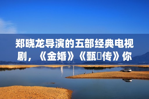 郑晓龙导演的五部经典电视剧，《金婚》《甄嬛传》你看过吗(总导演郑晓龙)