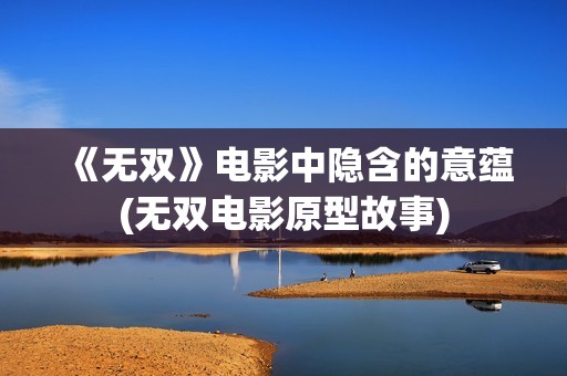 《无双》电影中隐含的意蕴(无双电影原型故事)