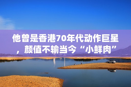 他曾是香港70年代动作巨星，颜值不输当今“小鲜肉”(香港70年男明星)