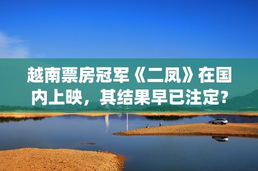越南票房冠军《二凤》在国内上映，其结果早已注定？(越南出名电影)