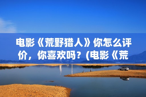 电影《荒野猎人》你怎么评价，你喜欢吗？(电影《荒野猎人》在线观看)