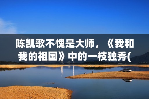 陈凯歌不愧是大师，《我和我的祖国》中的一枝独秀(陈凯歌陈)