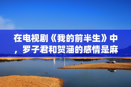 在电视剧《我的前半生》中，罗子君和贺涵的感情是麻烦出来的(我的电视剧百科)