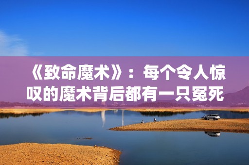 《致命魔术》：每个令人惊叹的魔术背后都有一只冤死的小鸟！(致命魔术 电影)
