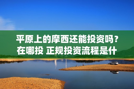 平原上的摩西还能投资吗？在哪投 正规投资流程是什么(平原上的摩西摩西什么意思)