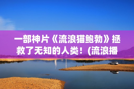 一部神片《流浪猫鲍勃》拯救了无知的人类！(流浪播放)