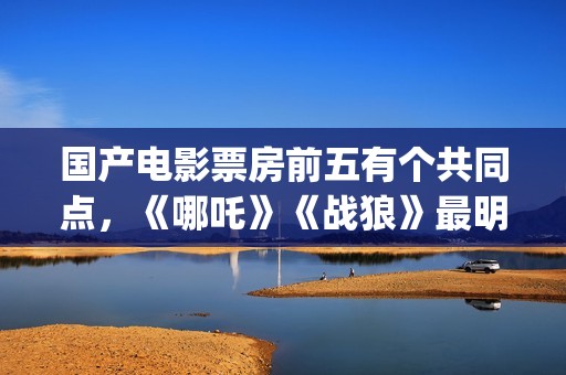 国产电影票房前五有个共同点，《哪吒》《战狼》最明显，发现了吗(国产电影票房排名前五十位的总排名)