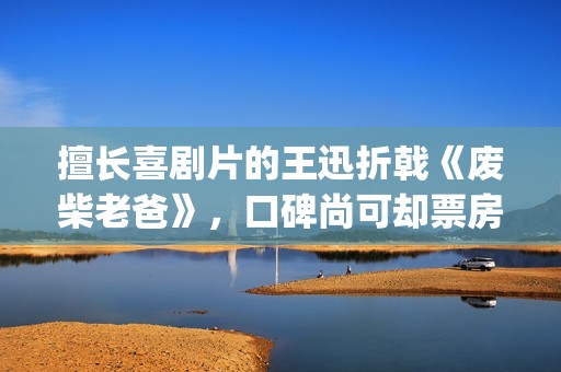 擅长喜剧片的王迅折戟《废柴老爸》，口碑尚可却票房惨淡(喜剧出名的人)