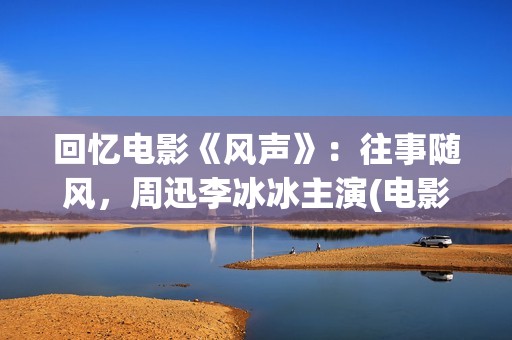 回忆电影《风声》：往事随风，周迅李冰冰主演(电影《风声》内容)