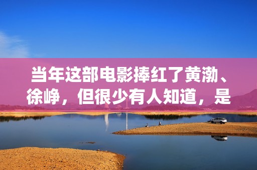 当年这部电影捧红了黄渤、徐峥，但很少有人知道，是刘德华投资的(这部电影是几几年拍的)