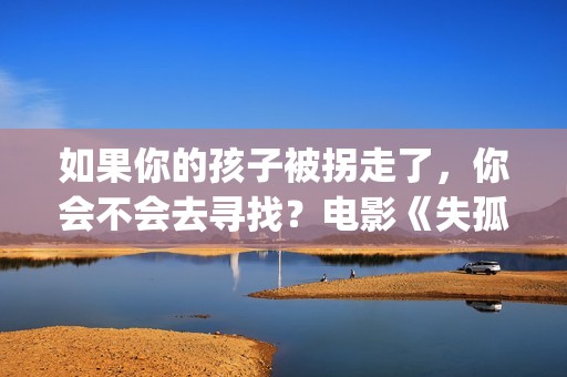 如果你的孩子被拐走了，你会不会去寻找？电影《失孤》解析评价(如果你的孩子被欺负了,家长会怎么办)