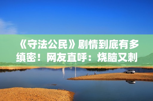 《守法公民》剧情到底有多缜密！网友直呼：烧脑又刺激！(守法公民全集)