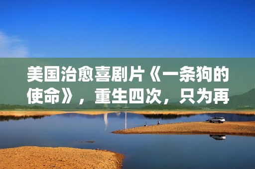 美国治愈喜剧片《一条狗的使命》，重生四次，只为再次遇见你！(美国治愈喜剧片排名)