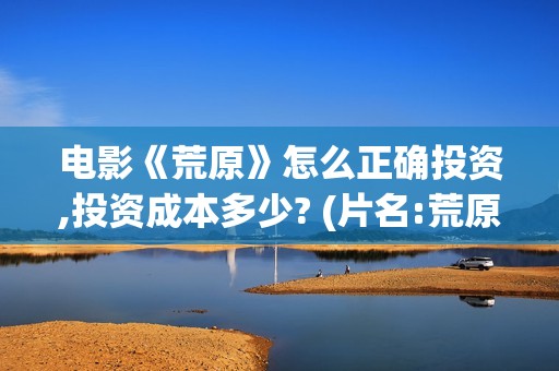 电影《荒原》怎么正确投资,投资成本多少? (片名:荒原)