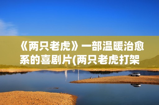 《两只老虎》一部温暖治愈系的喜剧片(两只老虎打架,为什么非要打个你死我活?)