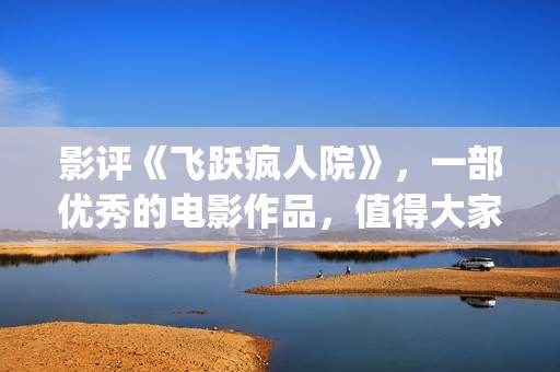 影评《飞跃疯人院》，一部优秀的电影作品，值得大家去观看！(飞跃疯人院台词图片)