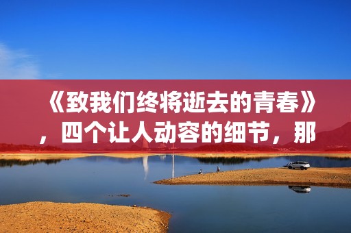 《致我们终将逝去的青春》，四个让人动容的细节，那是你的青春吗(致我们终将逝去的青春 辛夷坞)
