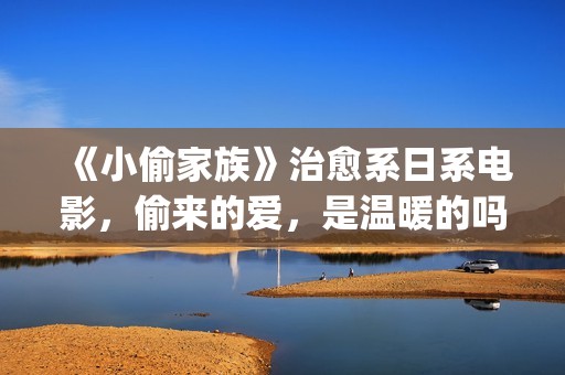 《小偷家族》治愈系日系电影，偷来的爱，是温暖的吗？(小偷家族121min)