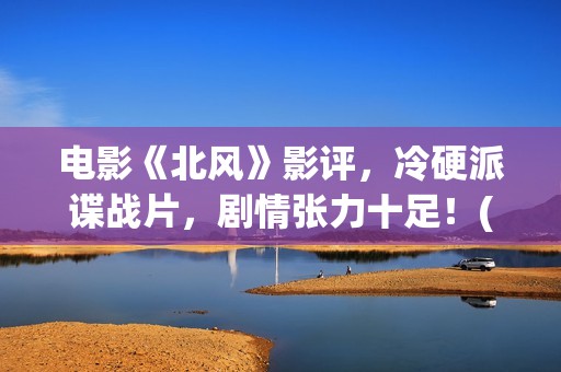 电影《北风》影评，冷硬派谍战片，剧情张力十足！(北风电影下载)