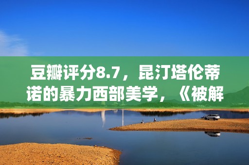 豆瓣评分8.7，昆汀塔伦蒂诺的暴力西部美学，《被解救的姜戈》(昆汀电影豆瓣评分)