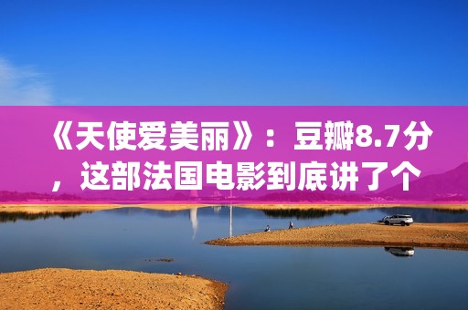 《天使爱美丽》：豆瓣8.7分，这部法国电影到底讲了个什么故事？(天使爱美丽手风琴曲)