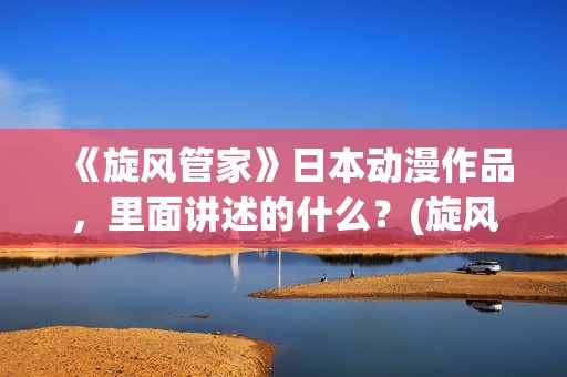 《旋风管家》日本动漫作品，里面讲述的什么？(旋风管家完整版)