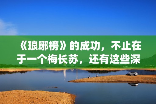 《琅琊榜》的成功，不止在于一个梅长苏，还有这些深入人心的角色(琅琊榜的成就)