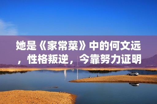 她是《家常菜》中的何文远，性格叛逆，今靠努力证明自己(电视剧家常菜原型)