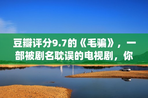 豆瓣评分9.7的《毛骗》，一部被剧名耽误的电视剧，你看过没？(豆瓣评分高达9分以上)