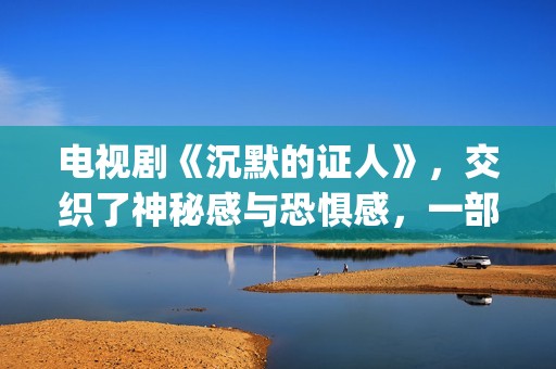 电视剧《沉默的证人》，交织了神秘感与恐惧感，一部经典的刑侦剧(电视剧《沉默的荣耀》)