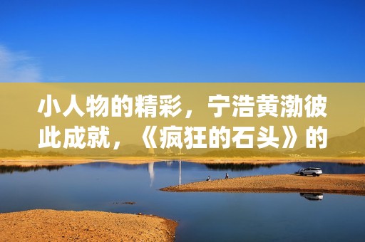 小人物的精彩，宁浩黄渤彼此成就，《疯狂的石头》的成功不无道理(小人物的精彩句子)