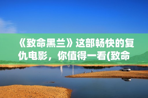 《致命黑兰》这部畅快的复仇电影，你值得一看(致命黑兰原版)