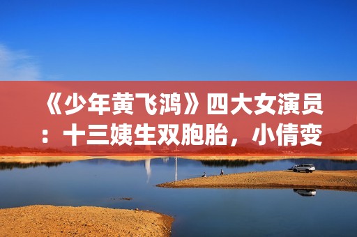 《少年黄飞鸿》四大女演员：十三姨生双胞胎，小倩变美，最红是她(少年黄飞鸿演员表全部)
