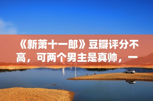 《新萧十一郎》豆瓣评分不高，可两个男主是真帅，一个比一个养眼(新萧十一郎连城璧)