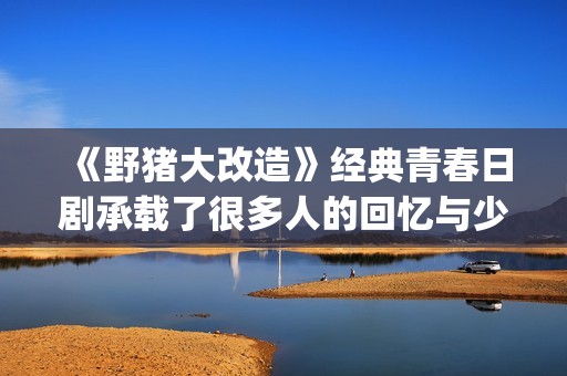 《野猪大改造》经典青春日剧承载了很多人的回忆与少女心(野猪大改造百度云)