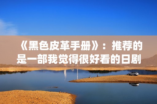 《黑色皮革手册》：推荐的是一部我觉得很好看的日剧(黑色皮革手册在线播放)