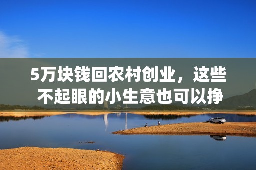 5万块钱回农村创业，这些 不起眼的小生意也可以挣大钱(5万在农村怎么建房好\看)