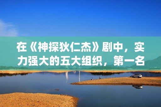 在《神探狄仁杰》剧中，实力强大的五大组织，第一名险些推翻朝廷(神探狄仁杰仵作)