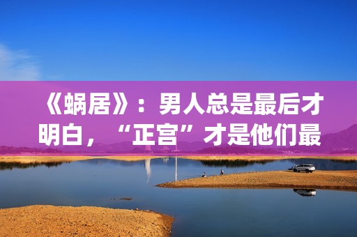《蜗居》：男人总是最后才明白，“正宫”才是他们最坚定的同盟(电视剧蜗居的男主角)